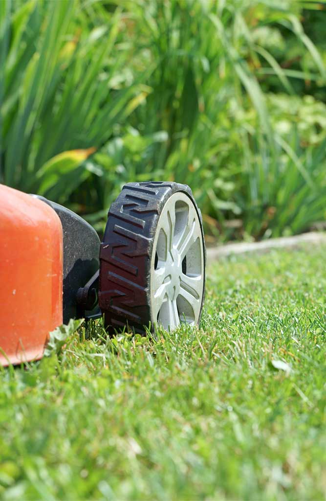 Lawn Mowing Services in Newcastle NSW | Simple Lawns and Garden Maintenance