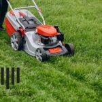Lawn mowing - how often should I mow my lawn?