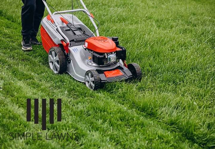 Lawn mowing - how often should I mow my lawn?