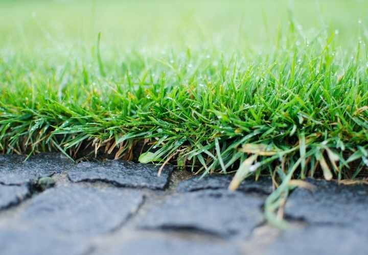 How rain affects soil and grass footpath