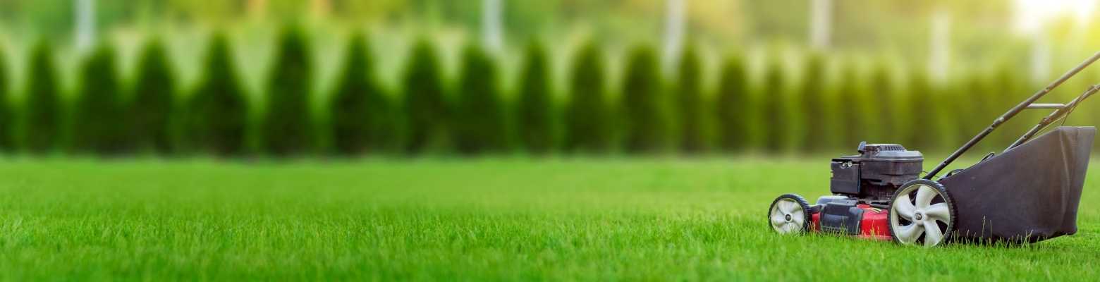 How To Care For Your Lawns After Heavy Rain