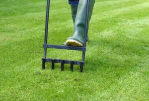 Aerating Your Lawn with Simple Lawns Newcastle NSW